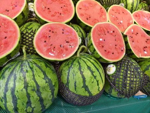 建德糯米吃瓜基地,田园风光中的甜蜜邂逅