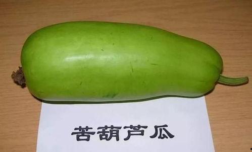 葫芦瓜不能和什么一起吃,揭秘不宜同食的禁忌食材