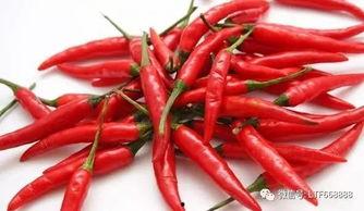 吃瓜的小辣椒,揭秘吃瓜小辣椒的麻辣人生