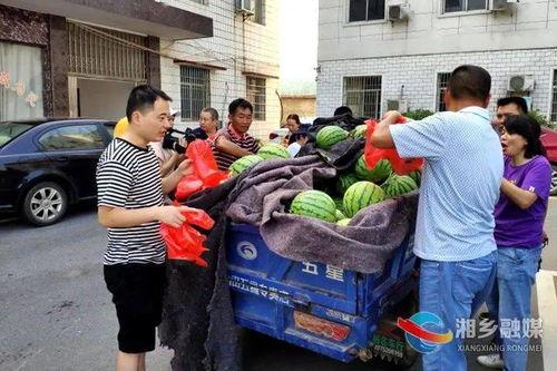 湘乡吃瓜事件视频,一场引发热议的街头冲突瞬间