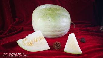 吃三白瓜日记,夏日消暑美食之旅