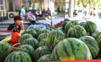 亳州未来科技吃瓜,吃瓜群众眼中的创新盛宴