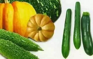 吃瓜夏夏,揭秘娱乐圈背后的那些事儿