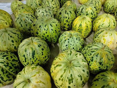 面瓜哪里吃,全国各地的面瓜美食之旅