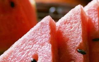 南方立秋吃瓜,传统习俗中的“吃瓜”文化