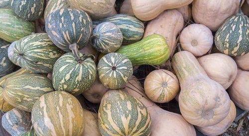 吃瓜防失联,轻松防失联指南