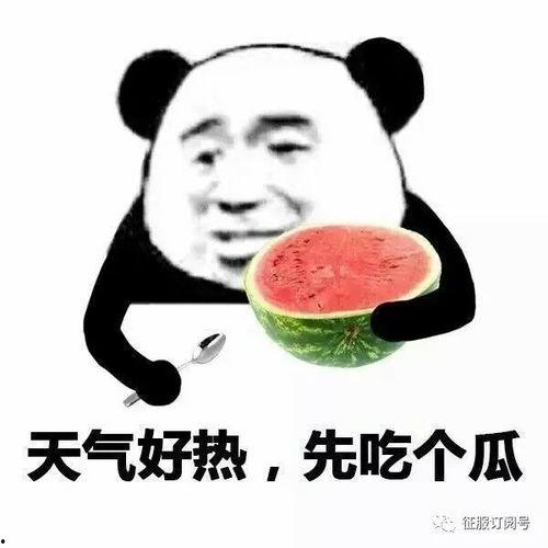 卡尔带你吃瓜