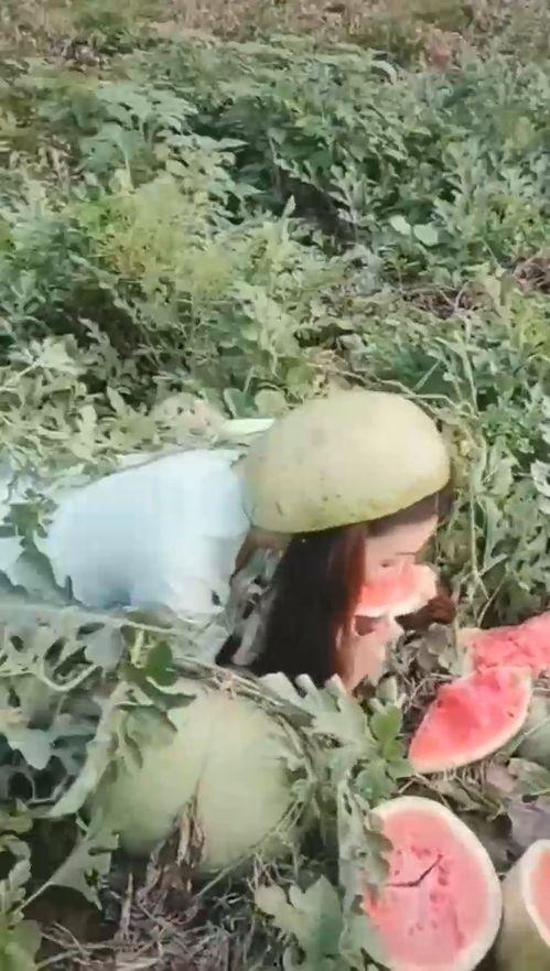 搞笑小妹吃瓜图片,表情包界的“瓜王”诞生！