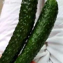 花小瓜吃货,探寻美食世界的奇妙之旅