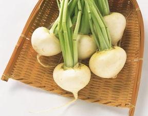 夏吃瓜冬吃萝卜,夏享清凉瓜果，冬品暖胃萝卜