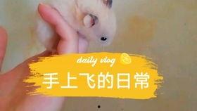 小说吃瓜背景板,揭秘小说背后的娱乐风云