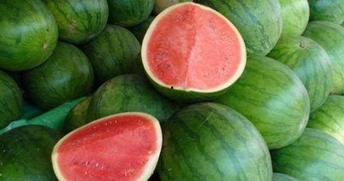 吃瓜吃瓜该怎么回答,一场全民参与的“吃瓜”盛宴