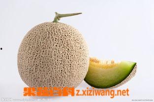白雪蜜瓜孕妇可以吃吗,营养与安全并重