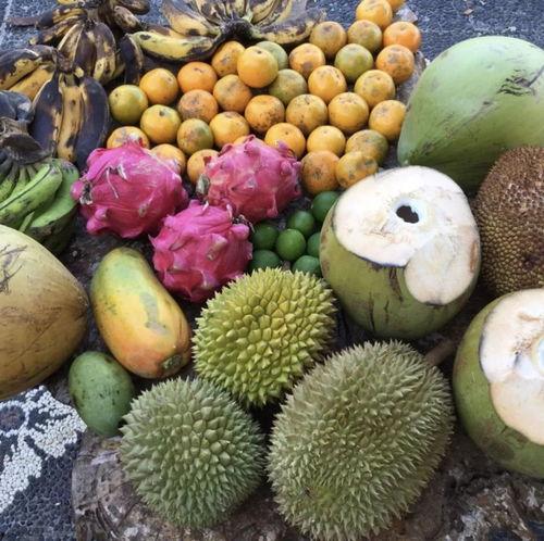 金乡夫妻聊天吃瓜,揭秘日常生活中的甜蜜与趣味