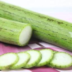 防吃瓜虫,守护绿色家园的神秘守护者