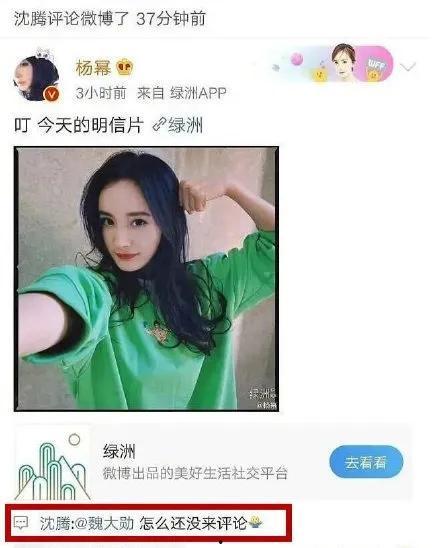 圈内吃瓜小能手,圈内吃瓜小能手揭秘娱乐圈幕后风云