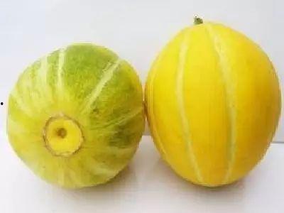 湖州行走吃瓜圈,品味吃瓜圈里的市井风情