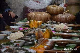 水族吃瓜,水族世界里的“吃瓜群众”趣闻录
