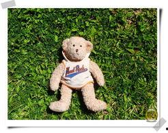 吃瓜小熊美国,一场美食与文化的深度体验