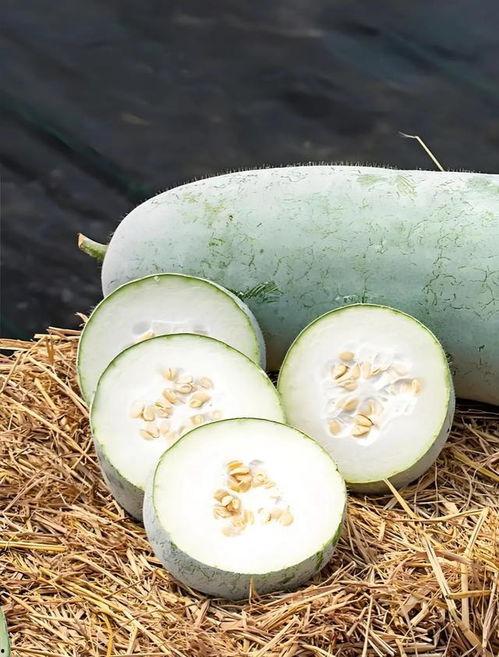 冬天吃的什么瓜,探寻冬季瓜果美食之旅