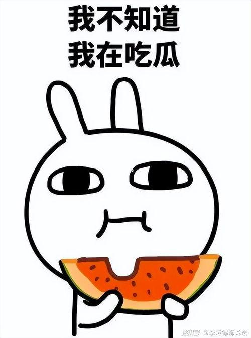 吃瓜怎么写快点,揭秘高效吃瓜攻略