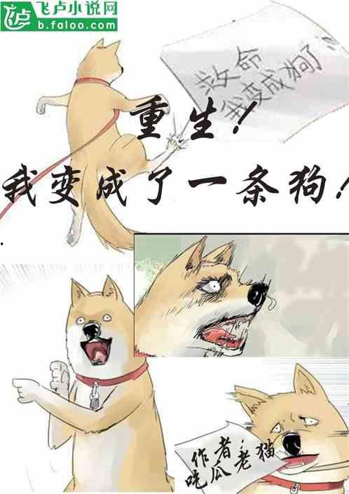 吃瓜就暴富小说,吃瓜也能暴富的奇幻之旅