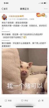 评论热评吃瓜,揭秘网络热议背后的真相与笑料
