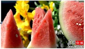 三月瓜禁忌人群吃,哪些人群不宜食用
