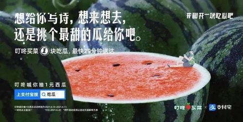 吃瓜捞的文案,揭秘娱乐圈幕后故事，带你领略明星真实生活