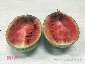 西西吃瓜长了西瓜,西瓜成长记