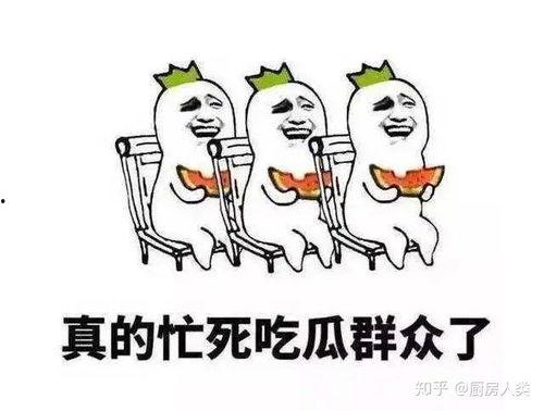 每日聪慧吃瓜君,跟随聪慧吃瓜君，轻松掌握娱乐圈新鲜事