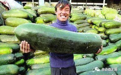 做吃瓜的人,见证时代变迁的旁观者