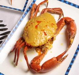 青蟹吃海瓜,探寻青蟹的独特美味之旅