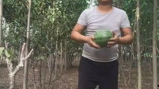 阿giao吃瓜视频,揭秘娱乐圈幕后真相